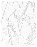 Andy Warhol, Mao, from The New York Collection For Stockholm (F. & S. 89), 1973, Unique Xerox print, on typewriter paper, the full sheet