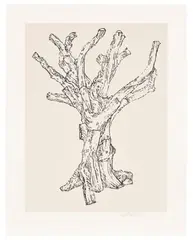 Cedar (Large) by Ai Weiwei, 2022, Screenprint in colours, on Somerset Velvet Antique paper, with full margins, sold Jun 2025