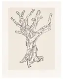 Ai Weiwei, Cedar (Large), 2022, Screenprint in colours, on Somerset Velvet Antique paper, with full margins