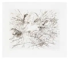 Untitled (Pulse) by Julie Mehretu, 2013, Lithograph in colours, on wove paper, with full margins, sold Jun 2025