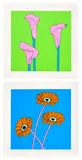 Michael Craig-Martin, Domesticated Flowers: two prints (C. 66b-c), 2021, Two screenprints in colours, on Somerset paper, with full margins