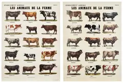 Marcel Broodthaers, Les animaux de la ferme (Farm Animals) (V. 22), 1974, The complete set of two offset lithographs in colours, one with hand additions in pencil, on Schoeller-Parole paper, the full sheets