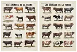 Marcel Broodthaers, Les animaux de la ferme (Farm Animals) (V. 22), 1974, The complete set of two offset lithographs in colours, one with hand additions in pencil, on Schoeller-Parole paper, the full sheets