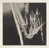 James Rosenquist, The Prickly Dark (G. 212), 1987, Monumental aquatint, on T.H. Saunders paper folded (as issued), with full margins