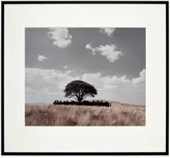 Untitled (Tooba) (S. p. 417) by Shirin Neshat, 2002, Chromogenic print, on Fujicolor Crystal Archive paper, the full sheet, sold Sep 2025