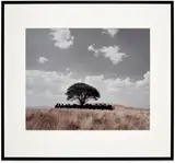 Shirin Neshat, Untitled (Tooba) (S. p. 417), 2002, Chromogenic print, on Fujicolor Crystal Archive paper, the full sheet
