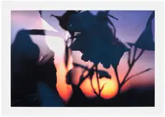 Untitled by Peter Fischli and David Weiss, 1991/2001, Inkjet print in colours, on thin wove paper, with full margins, offered Sep 2025