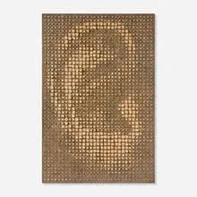 Tim Hawkinson, Forest Ear