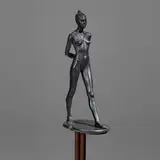Robert Graham, Elisa
