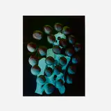Jimmy De Sana, Untitled, c. 1985, Cibachrome print