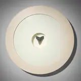 Francesco Gennari, 12, 2001, prehistoric shark tooth, coated plywood, glass