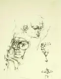 Leon Kelly, Goblet from the Fountain of Youth, Pen and ink on paper