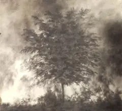 Philippe Ségéral, Untitled, Graphite on paper