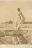 Anders Zorn, The Swan