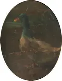Untitled by English School, THE PROUD BLUE HEADED DUCK, oil on panel - Oval: 10 in. x 8 in, sold Jun 2005