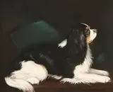 Continental School, KING CHARLES SPANIEL, illegibly signed and dated '78 lower right