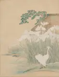 Anonymous, Cranes under a pine tree, Cranes under a pine tree, ink and color on paper