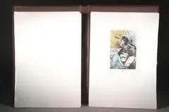 Salvador Dalí, Les Caprices de Goya, Each plate signed in pencil and numbered 118 of 200