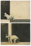 Pierce Rice, HIPPO and ELEPHANT WALKING: TWO WORKS, both signed, Oil on canvas