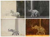 Pierce Rice, HIPPO and ELEPHANTS : FOUR STUDIES, each signed