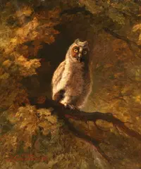 Johann Grund, The Owl in the Forest, Oil on canvas