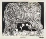 Francisco Toledo, Elefante, Litografía