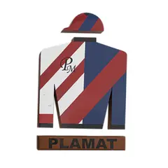 Camisa de Carrera, SIGLO XX, Acrílico sobre MDF
