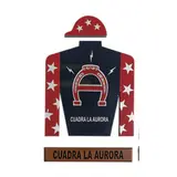 Camisa de Carrera, SIGLO XX