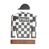 Camisa de Carrera, SIGLO XX