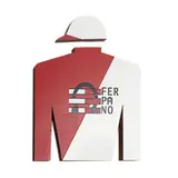 Camisa de Carrera, SIGLO XX