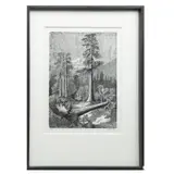 Carlos Alvarado Lang, Untitled, Xilografía 35 / 50