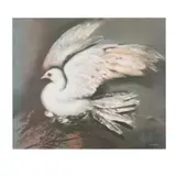 Rafael Coronel, Paloma, Litografía offset sin número de tiraje