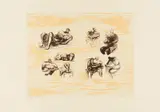 Henry Moore, Auktion 404, Los 749, 1973, Farblithografie auf chamoisfarbenem Japan