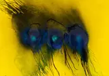Auktion 401, Los 245 by Otto Piene, 1999/2002, Mischtechnik (Feuergouache) auf Leinwand, sold Nov 2017