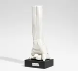 Michael Schoenholtz, Auktion 404, Los 820, 1986, Porzellan