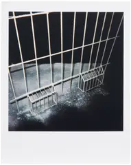 Luc Tuymans, Within, 2016, Archival pigment print in colours, flush-mounted to Alu-Dibond panel (as issued)