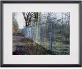 Gerhard Richter, Zaun (Fence) (B. 146)