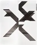 Wade Guyton, X Poster (Untitled, 2007, Epson UltraChrome inkjet on linen, 84 x 69 inches, WG1210), 2018, Monumental archival digital print, on wove paper, the full sheet folded (as issued), contained in the original white cardboard sleeve