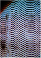 Tauba Auerbach, Static 18, 2011, Chromogenic print, on smooth wove paper, the full sheet