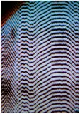 Tauba Auerbach, Static 18, 2011, Chromogenic print, on smooth wove paper, the full sheet