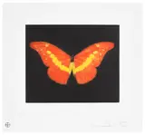 Damien Hirst, To Love, 2008, Etching and aquatint in colours, on wove paper, with full margins