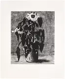 David Hockney, Sunflower II (M.C.A.T. 348), 1995, Etching and aquatint, on Arches watercolour paper, with full margins
