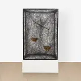 Chiharu Shiota, State of being #7