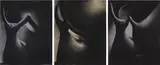Lisa Yuskavage, The Black Bunny Series: Tit Love, Fellatial Love, Ass Love