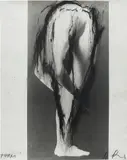 Arnulf Rainer, Turm, 1974, oilstick on photograph