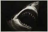 Robert Longo, Study of Shark with Scar
