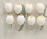 Marcel Broodthaers, Bonne Année 1967, 1966-1967, eggshells and ink on linen
