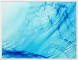 Freischwimmer 104 by Wolfgang Tillmans, 2004, c-print, in artist's frame, sold Oct 2024