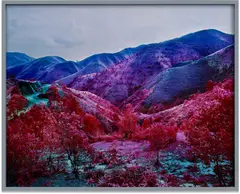 Richard Mosse, Girl from the North Country, 2015, c-print, in artist's frame