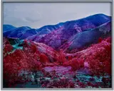 Richard Mosse, Girl from the North Country, 2015, c-print, in artist's frame